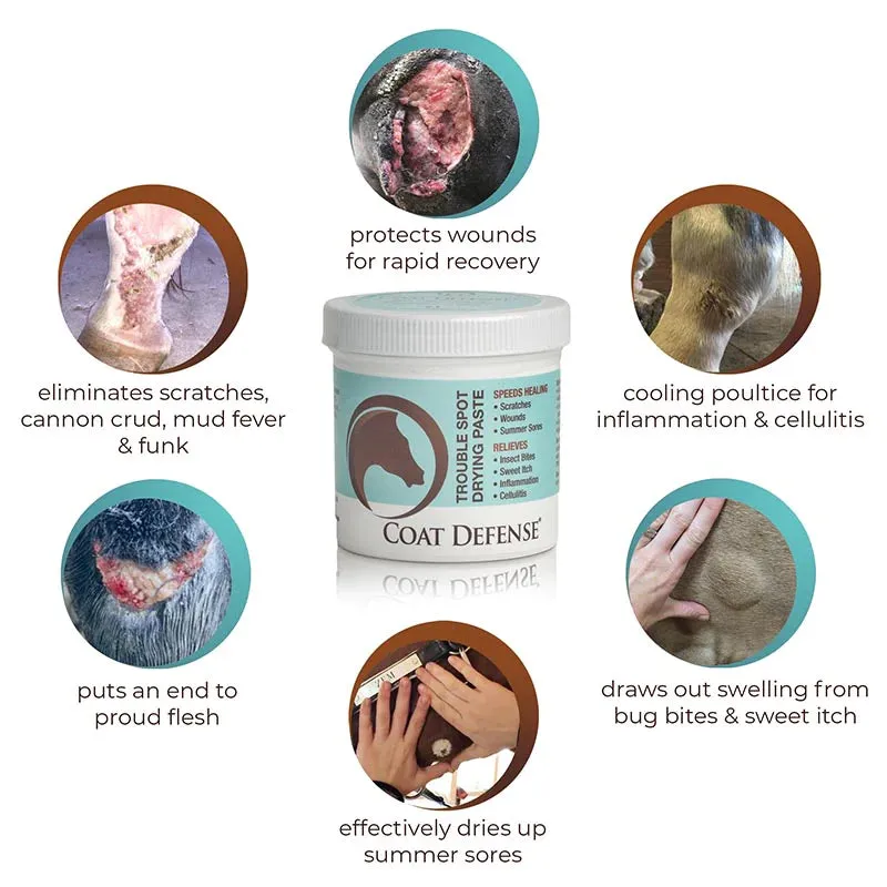 Coat Defense Trouble Spot Drying Paste - 24 oz