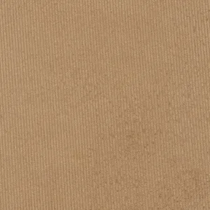 Corduroy 14 Wale in Toast