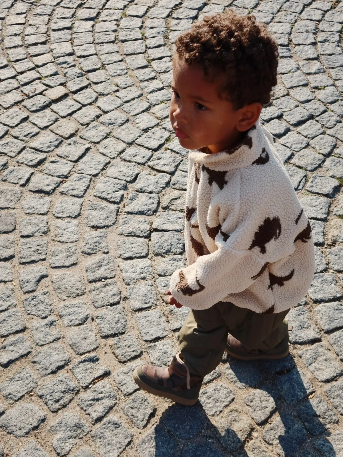 Dino Teddy Jacket