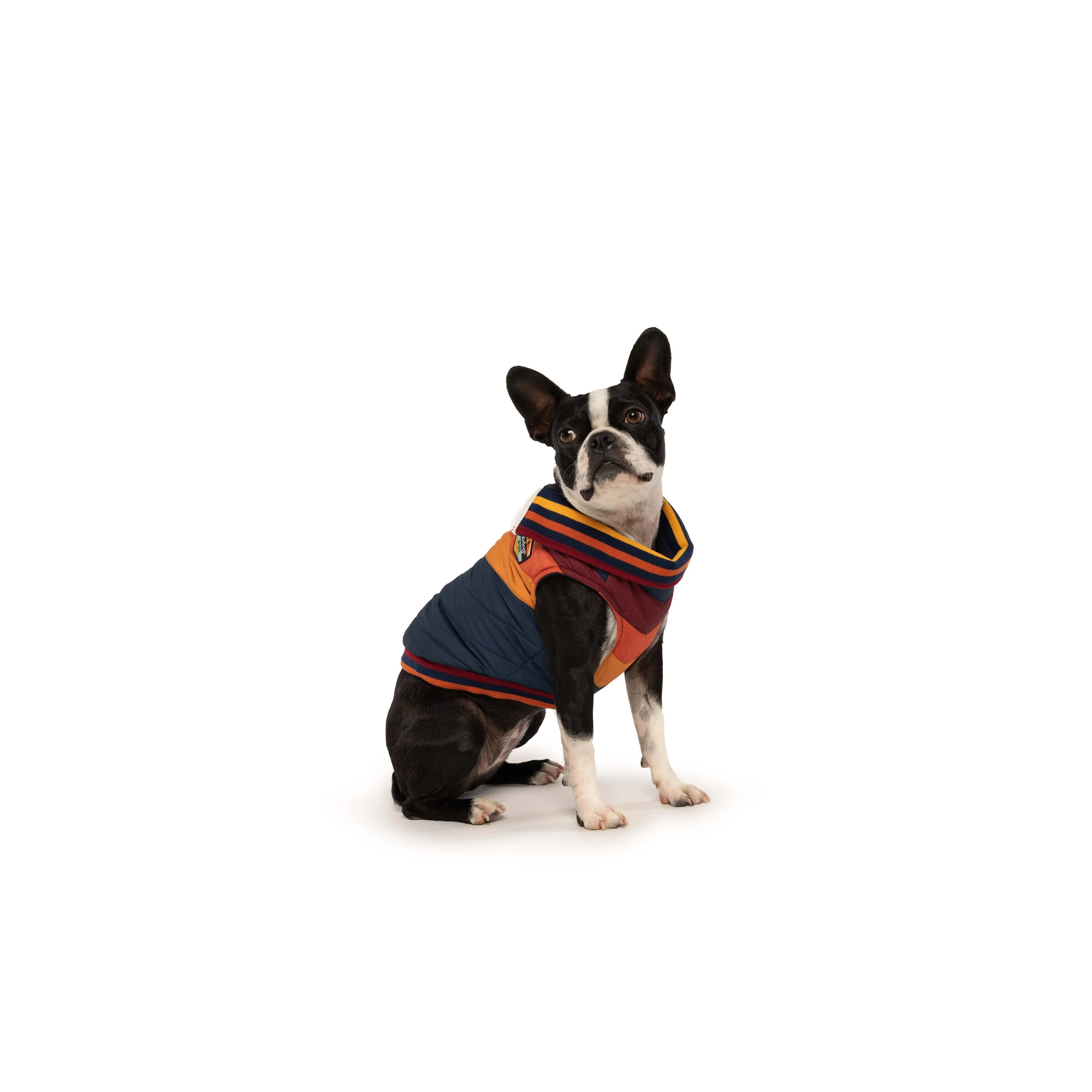Fabdog | Navy Chevron Dog Coat
