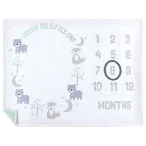 Hudson Baby Plush Holiday and Milestone Blanket, Dream Big