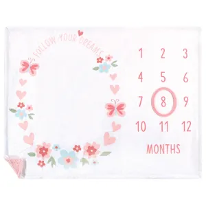 Hudson Baby Plush Holiday and Milestone Blanket, Follow Your Dreams