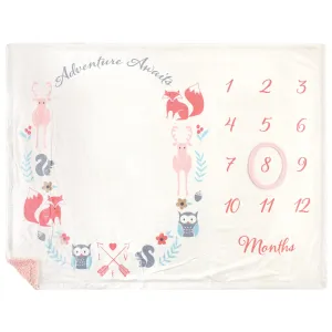 Hudson Baby Plush Holiday and Milestone Blanket, Girl Adventure Awaits