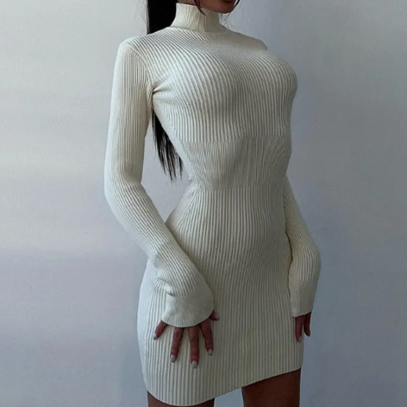 Knitted Turtleneck Long Sleeve Mini Dress