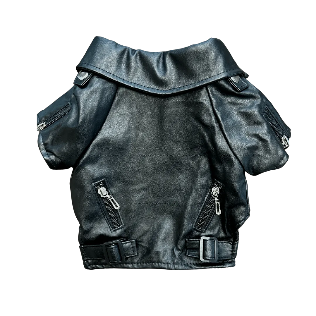 Moto Jacket