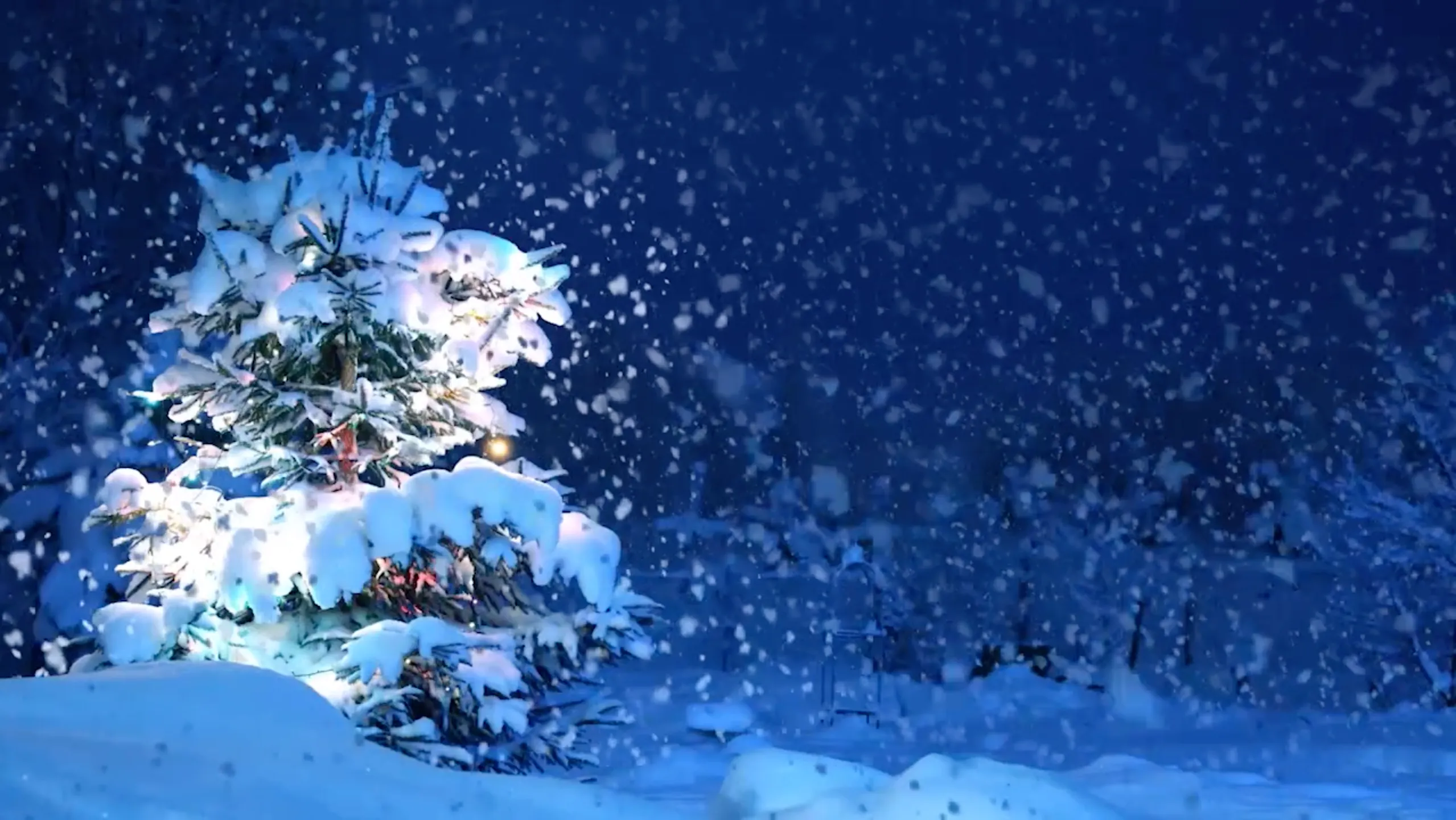 Picture Perfect Night - Virtual Background